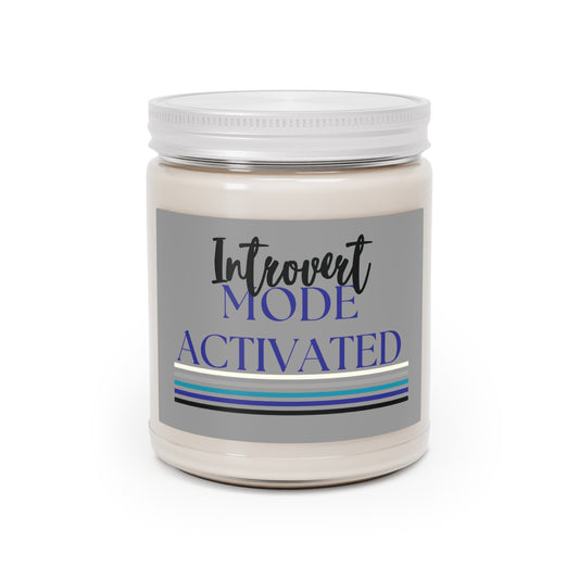 Gray Non-toxic Natural Soy Candle 'Introvert Mode Activated'